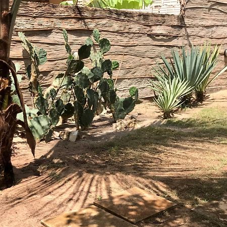 Casa Belamar サン・ミゲル・ド・ゴストーゾ エクステリア 写真